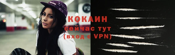шишки Богданович