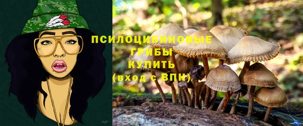 а пвп мука Богородск