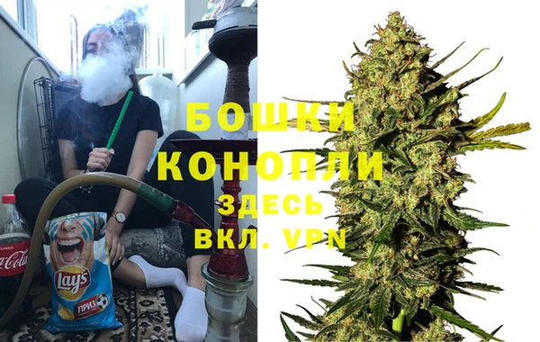 шишки Богданович