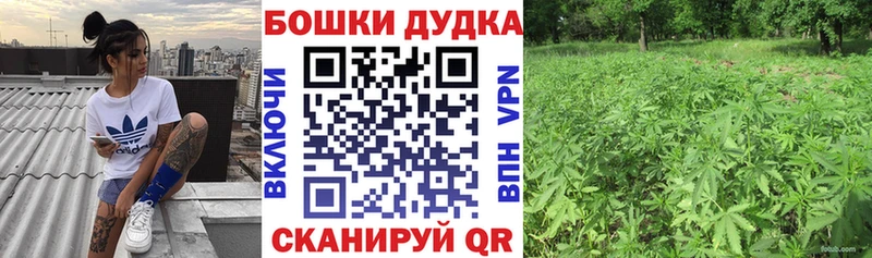 Шишки марихуана Bruce Banner  где найти наркотики  Златоуст 